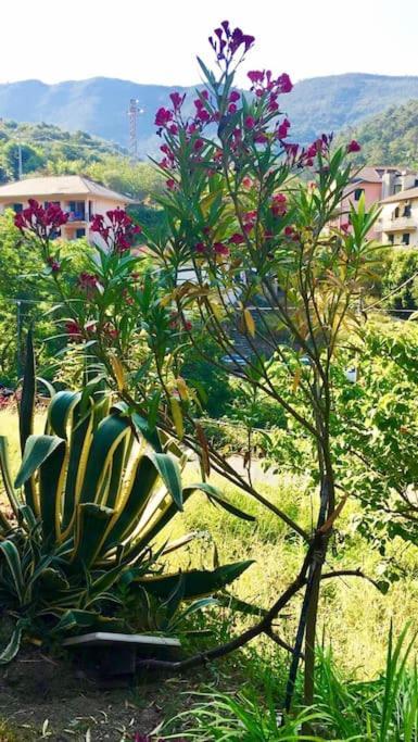 La Casa Novella, A 450 Metri Dal Mare Apartment โมเนเลีย ภายนอก รูปภาพ